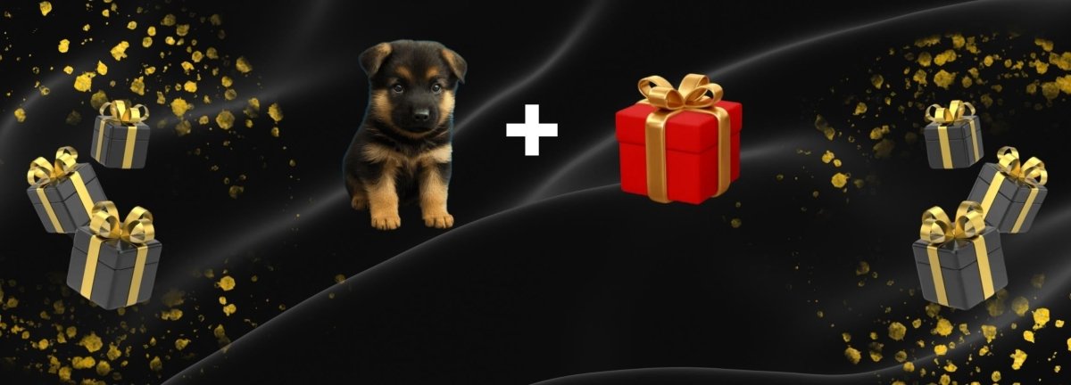 Interactive Robot Puppy with Realistic Movements for Playful Fun