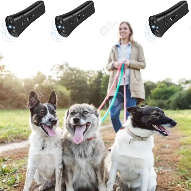 Dog with Ultrasonic Trainer for Safe Tool Against Excessive Barking