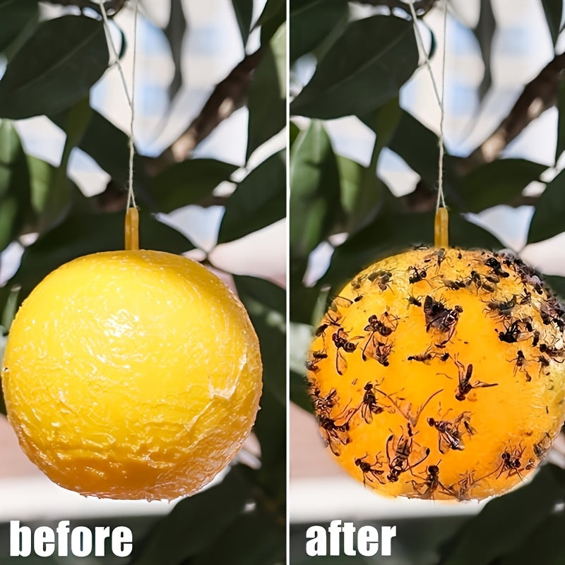 Sticky Fly Traps for Simple Solution Against Fly Infestation