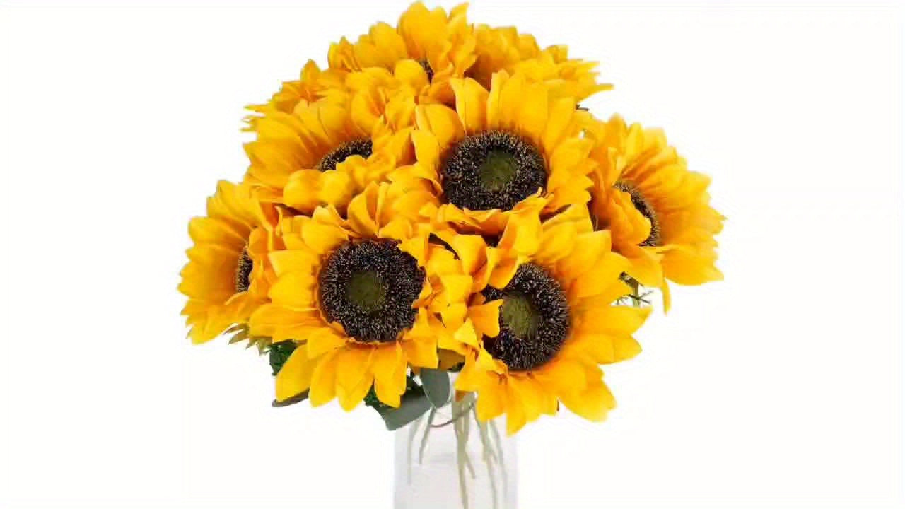 Set of 11 Vibrant Sunflowers for Perfect for Autumn, Weddings, and Garden Decoration