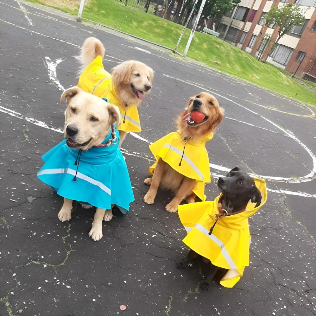Dogs with Raincoat for Reflective Strip and Waterproof Design