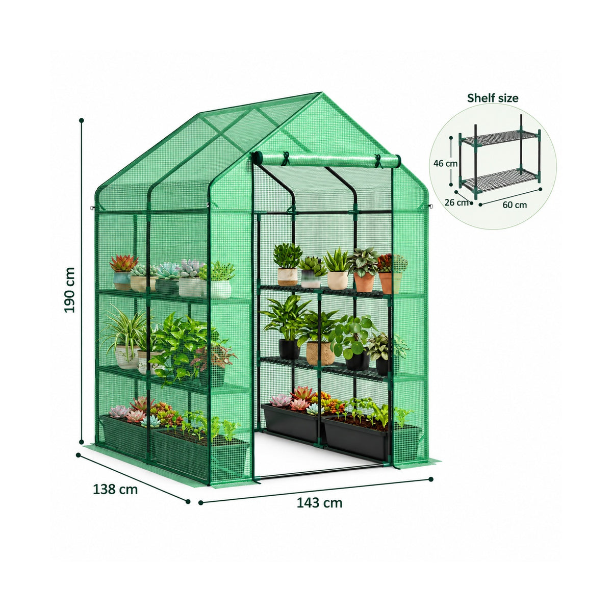 Walk-in greenhouse with shelves – 143 × 138 × 190 cm dimensions