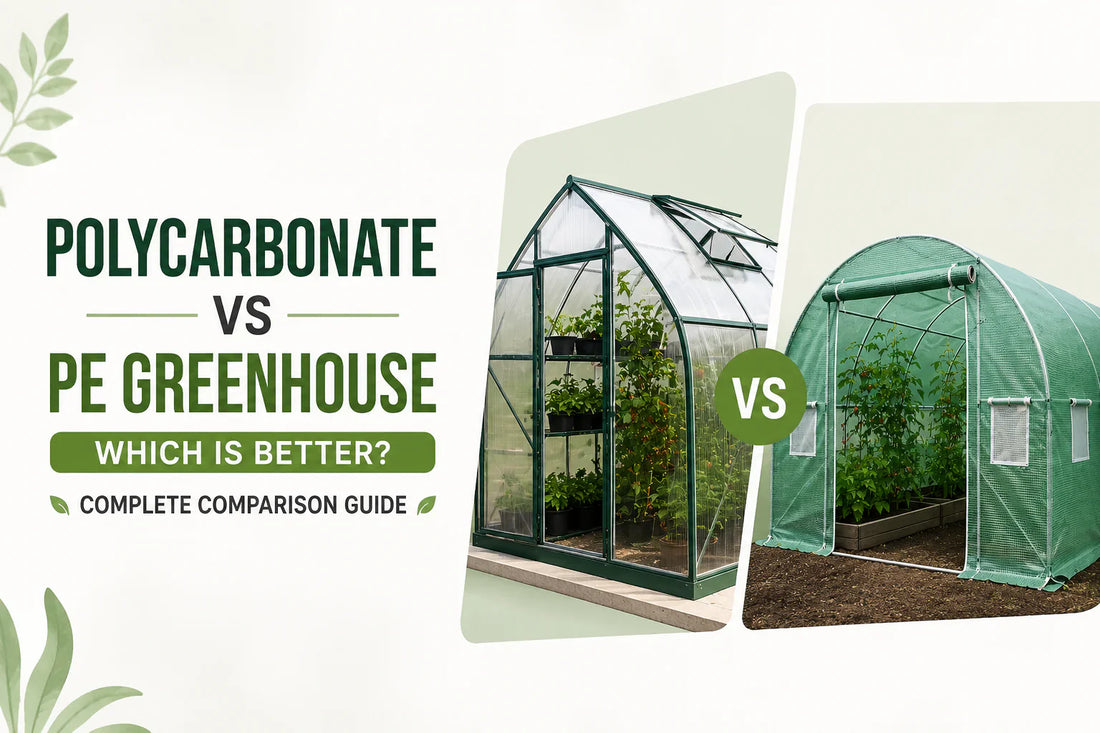 Polycarbonate vs PE greenhouse comparison for backyard gardeners