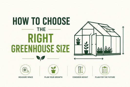 Guide to choosing the right greenhouse size for a backyard garden