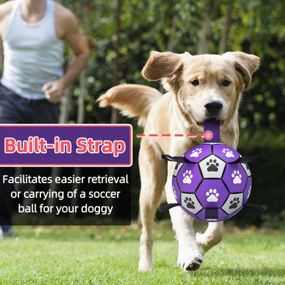 Dog with Rubber Play Ball with Handles for Indoor and Outdoor Use