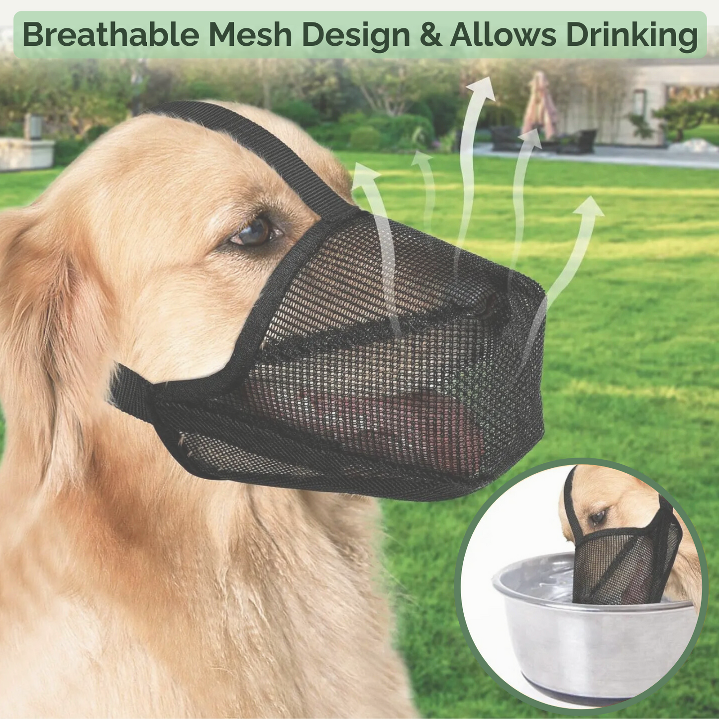 Airmesh Muzzle for Soft and Comfortable Dog Muzzle