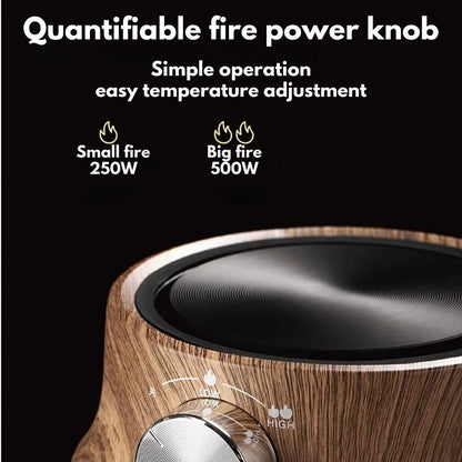 Plate with Mini Electric Temperature Control for Compact Use