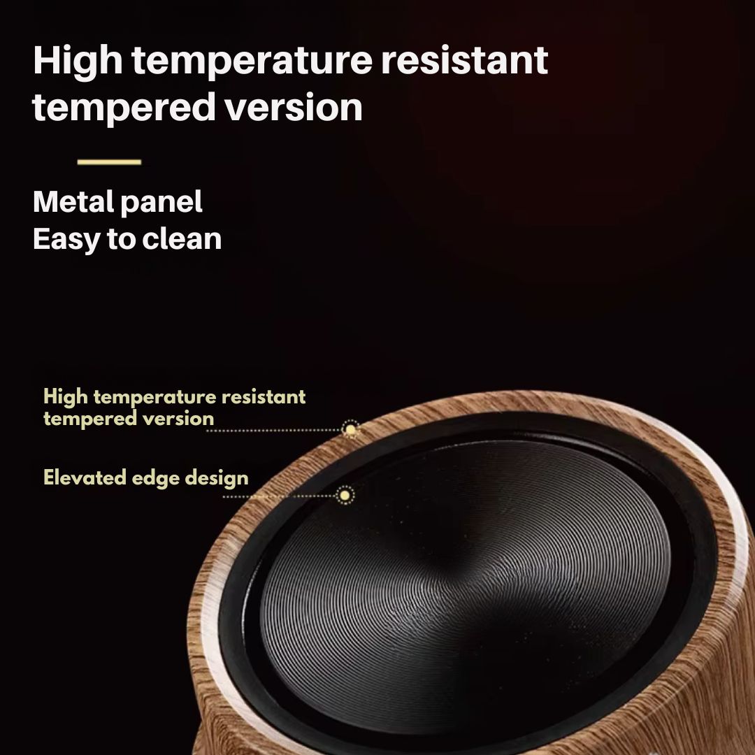 Plate with Mini Electric Temperature Control for Compact Use