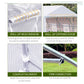 12 x 10 Walk-In Greenhouse – view 6