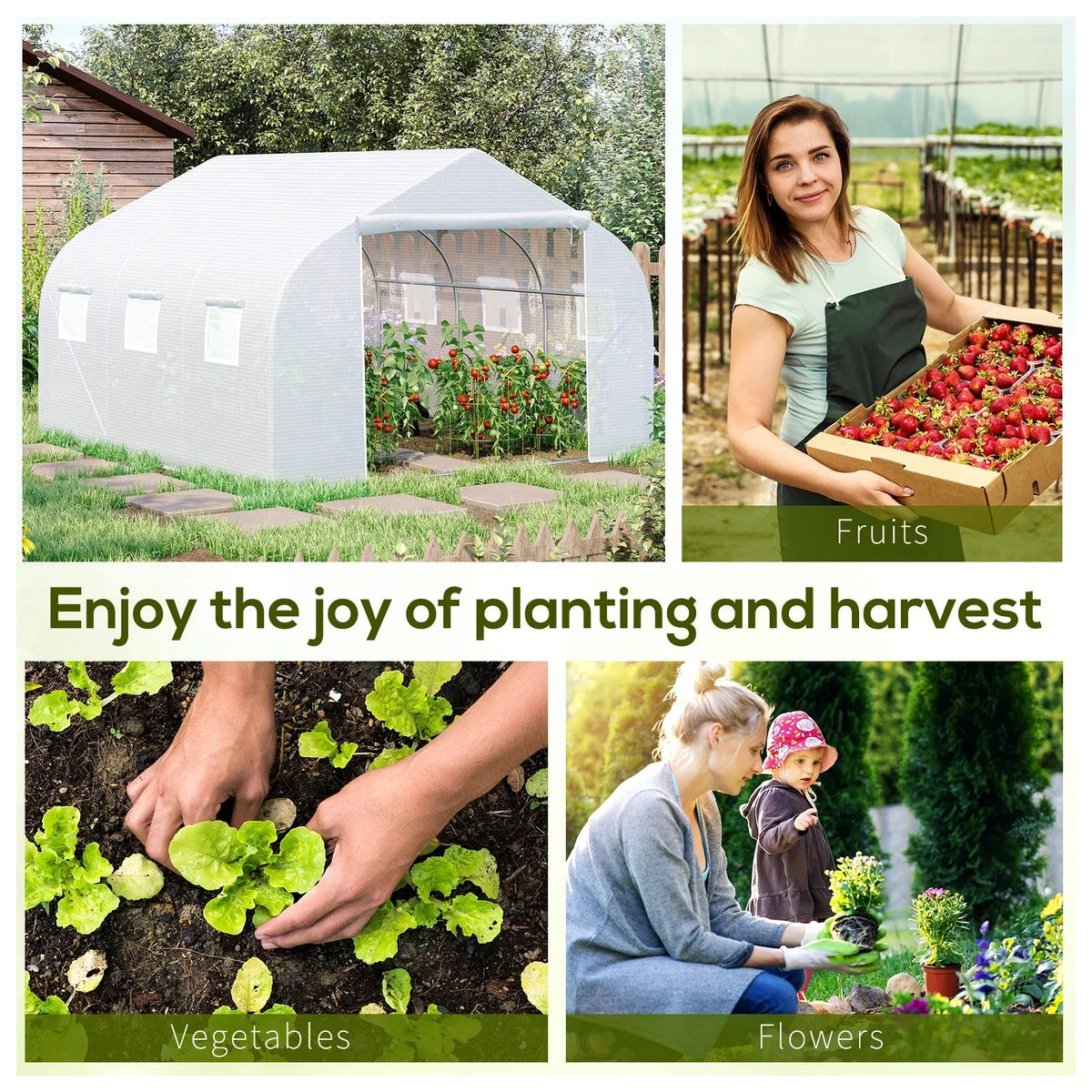 12 x 10 Walk-In Greenhouse – view 7