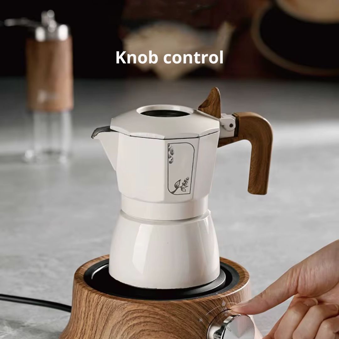 Plate with Mini Electric Temperature Control for Compact Use