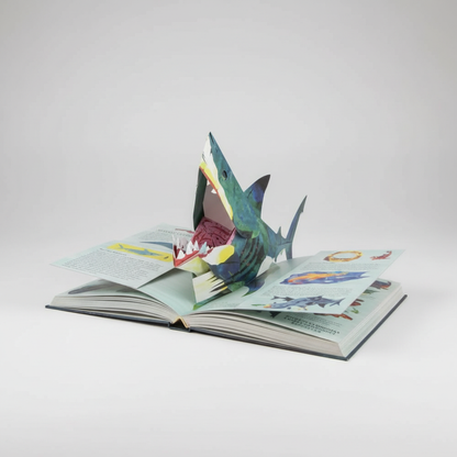 3D Pop-Up Dinosaurs Book with Interactive Pages for Children Edu