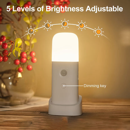 Night Light with LED Motion Sensor for USB Rechargeable and Adjustable Brightness