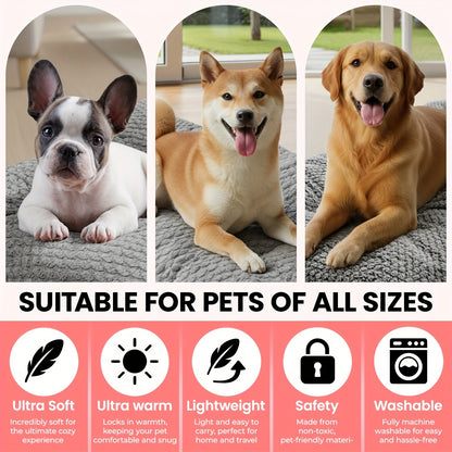 Cushion with Comfortable Dog Design for Dogs with Soft Filling and Padded Sleeping Surface