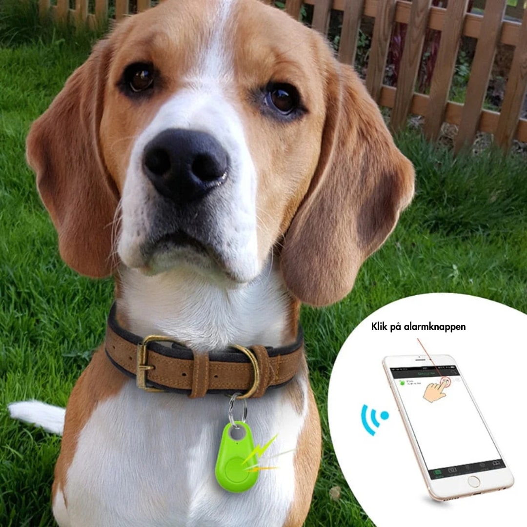 GPS Tracker with Live Location for Children, Pets, and Valuable Items