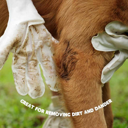 Glove with Pet Wipes for Quick Care Without Water