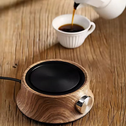 Plate with Mini Electric Temperature Control for Compact Use