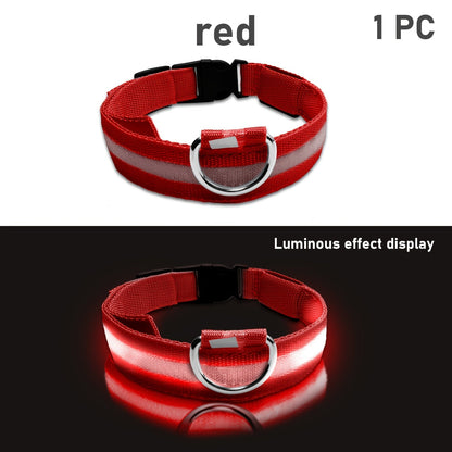 Dog with LED Collar with Lighting for Visible and Safe at Night
