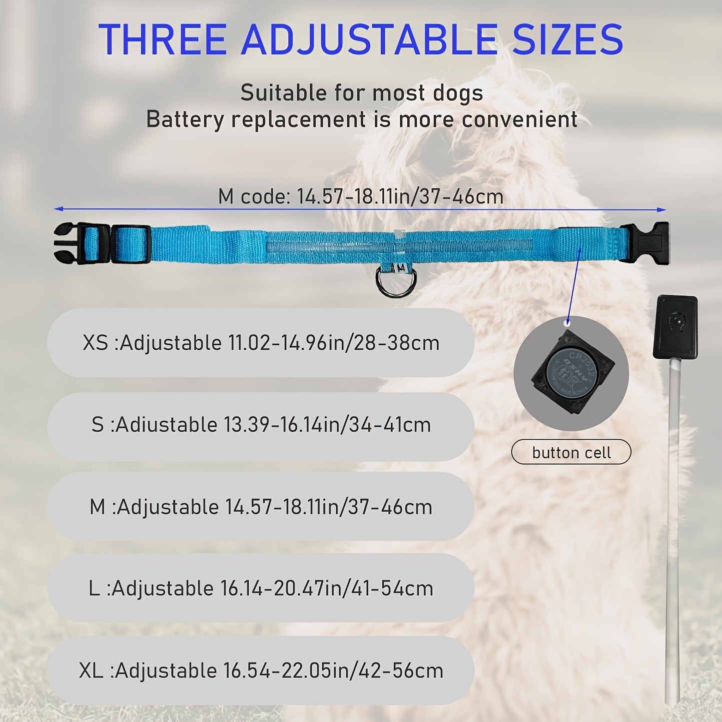 Dog with LED Collar with Lighting for Visible and Safe at Night