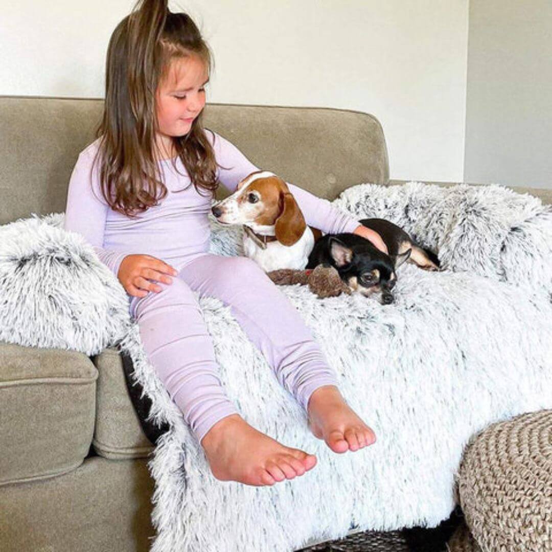 Dog with Plush Bed with Raised Edges for Soft Comfort for Daily Resting
