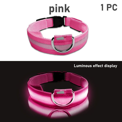 Dog with LED Collar with Lighting for Visible and Safe at Night