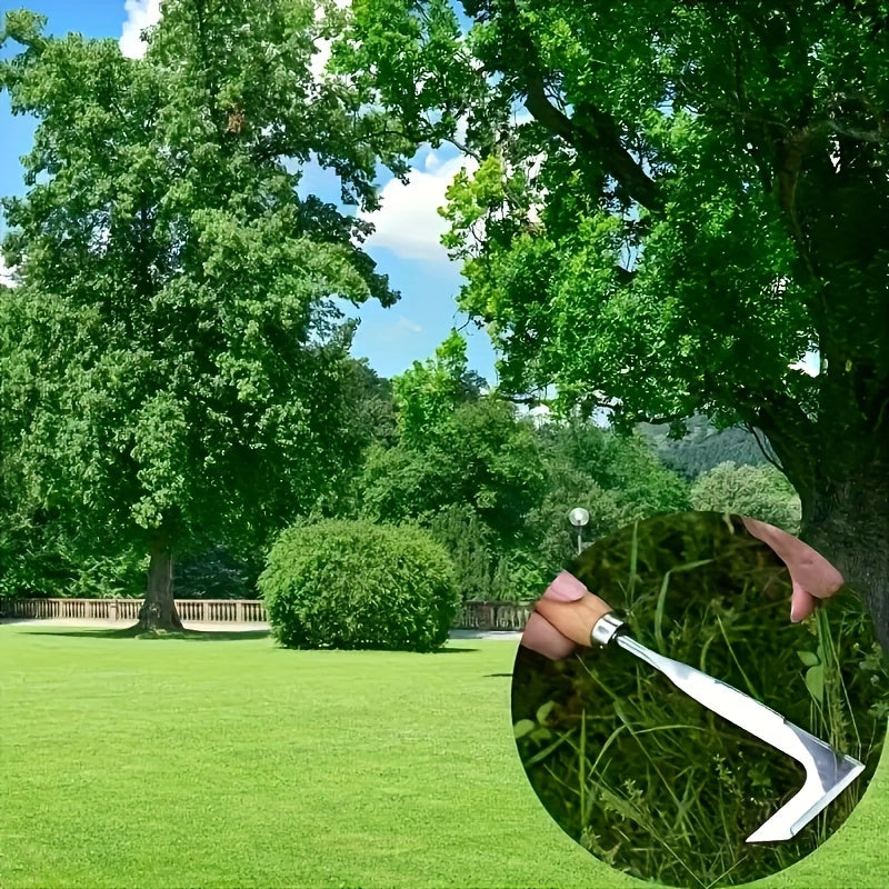 Weed Remover for Paths for Efficient and Handy for Quick Work