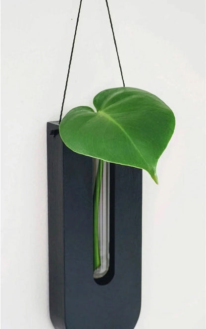 Holder with Wooden Wall Plant Set for Houseplants with Minimalist and Natural Design