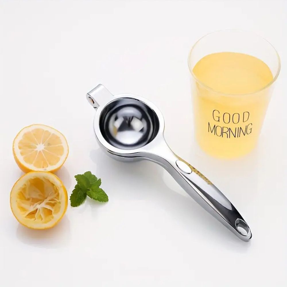 Stainless Steel Citrus Juicer with Ergonomic Handle and Minimalist Design