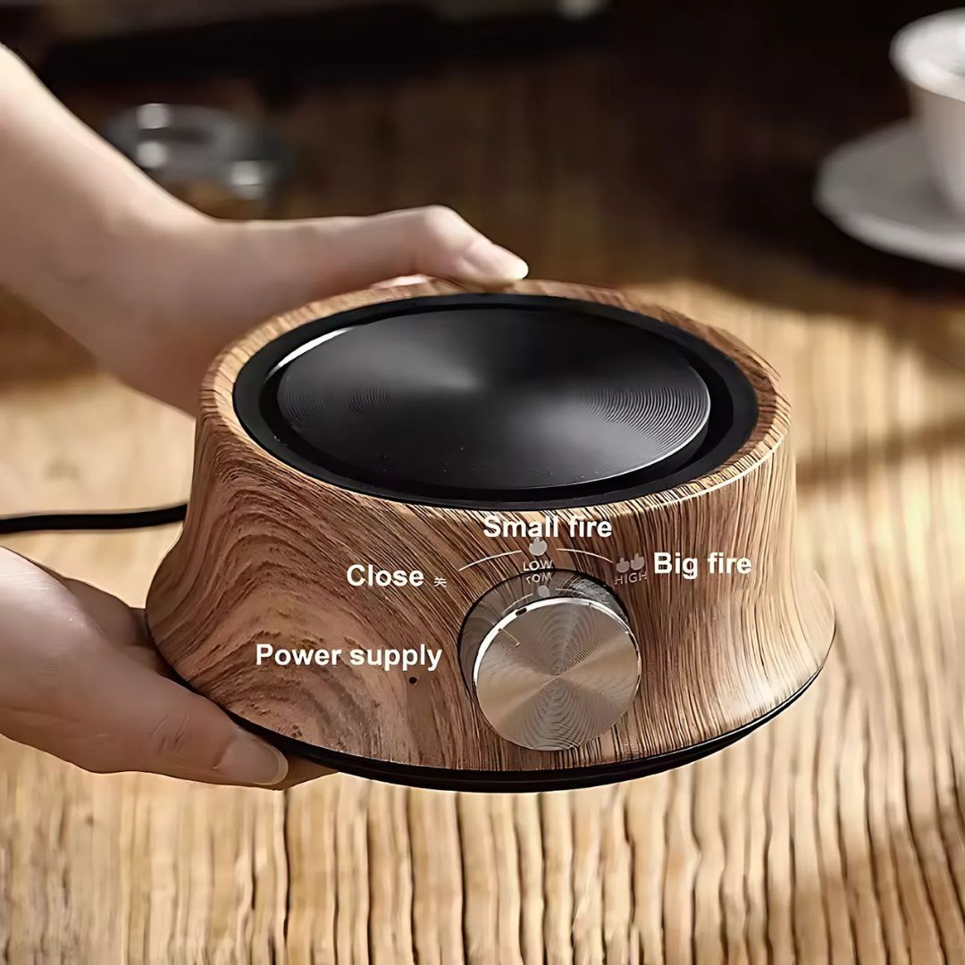 Plate with Mini Electric Temperature Control for Compact Use