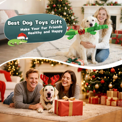 Toy with Sturdy Crocodile Dog Squeaker for Tug-of-War and Interactive Play