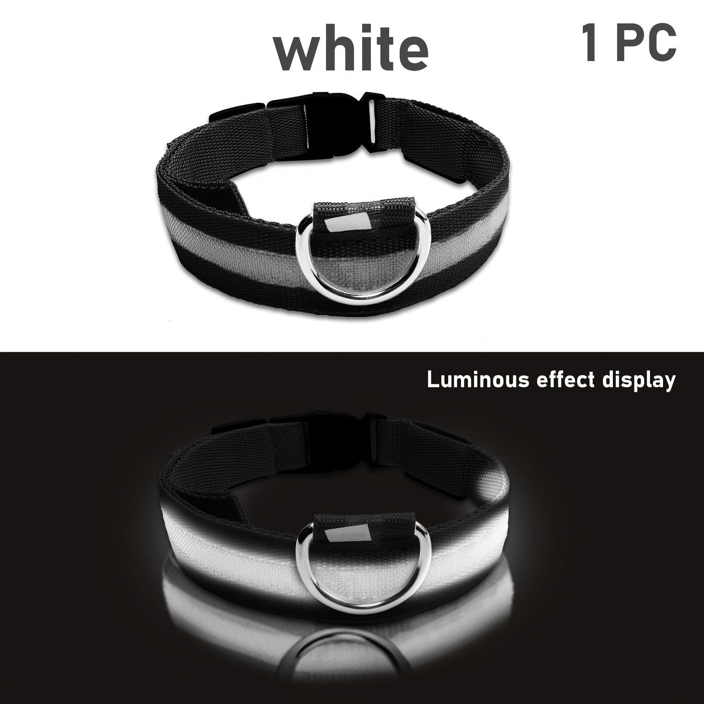 Dog with LED Collar with Lighting for Visible and Safe at Night