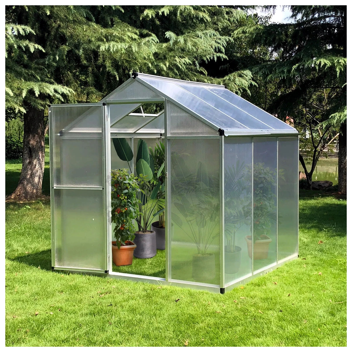 6 x 6 Polycarbonate Greenhouse – view 1