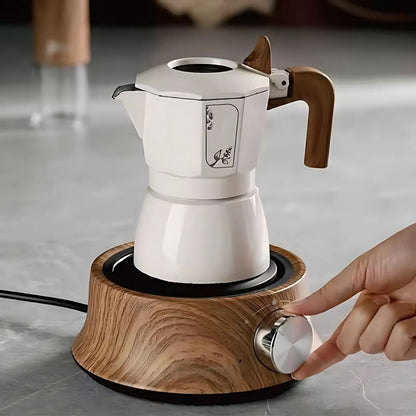 Plate with Mini Electric Temperature Control for Compact Use