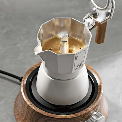 Plate with Mini Electric Temperature Control for Compact Use