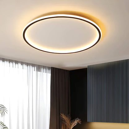 Lamp Aurora Globe LED Ceiling for Stylish Lighting for Any Space