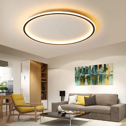 Lamp Aurora Globe LED Ceiling for Stylish Lighting for Any Space
