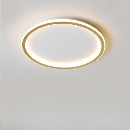 Lamp Aurora Globe LED Ceiling for Stylish Lighting for Any Space