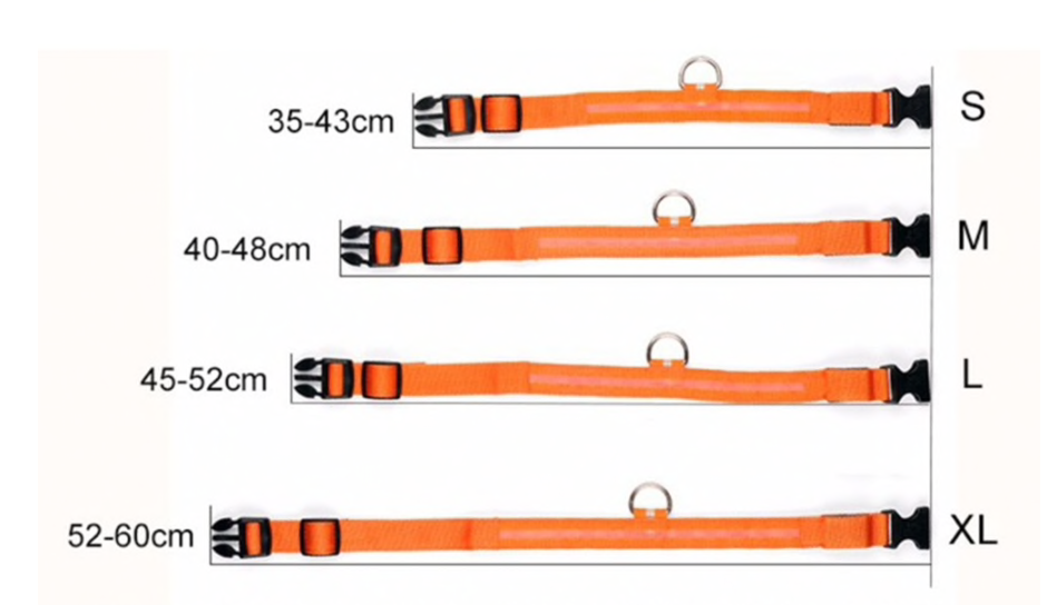 Dogsafe Pro for LED Collar for Dogs Feel Safe and Stylish While Walking