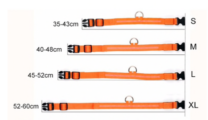 Dogsafe Pro for LED Collar for Dogs Feel Safe and Stylish While Walking