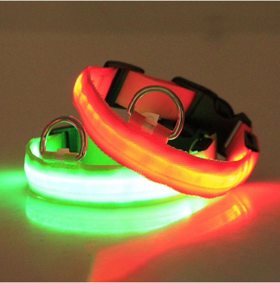 Dogsafe Pro for LED Collar for Dogs Feel Safe and Stylish While Walking