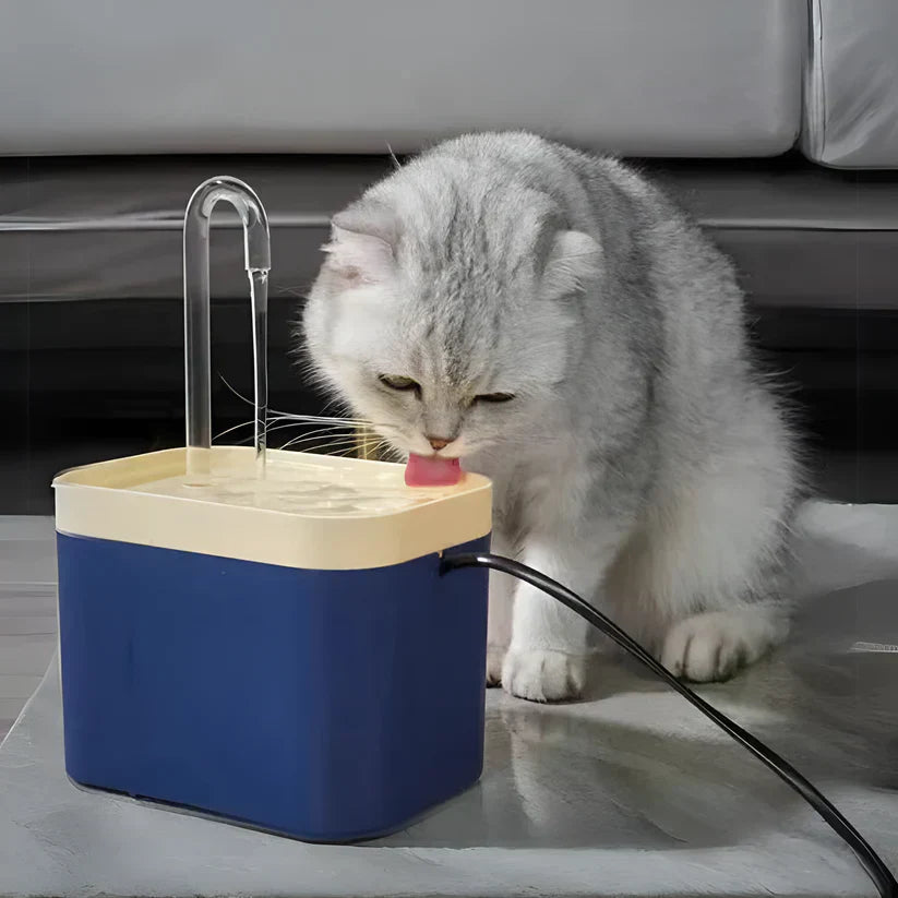 Flowcat Water Fountain for Healthy Hydration of Your Cat
