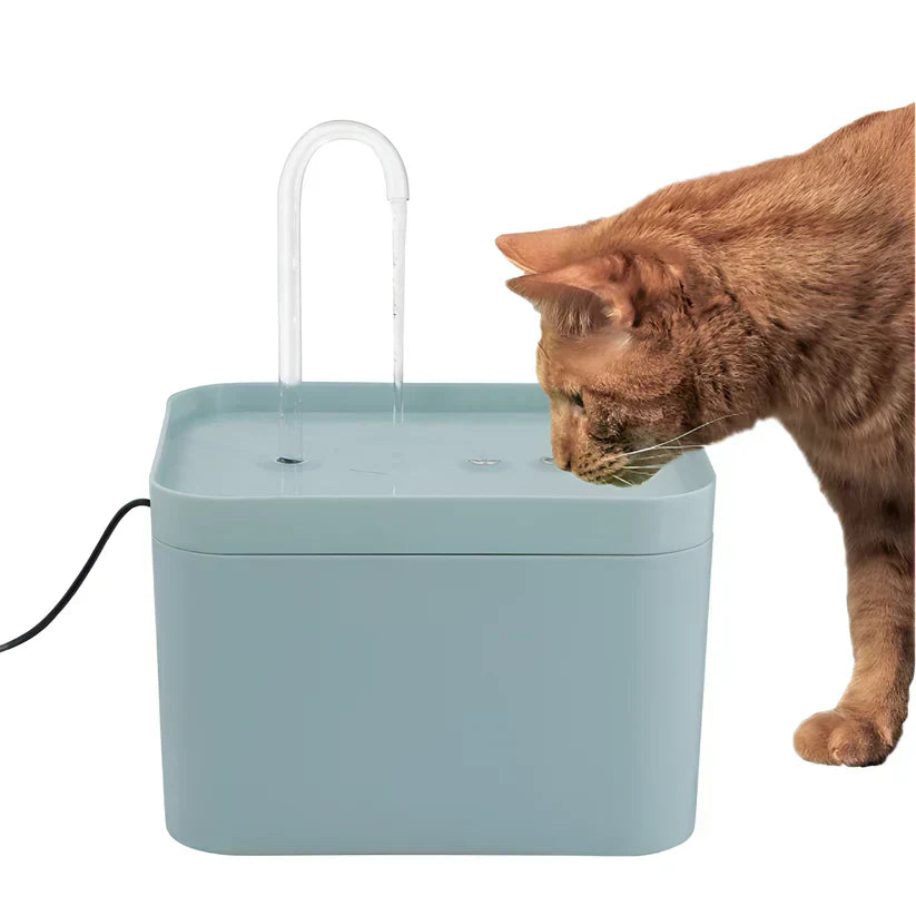 Flowcat Water Fountain for Healthy Hydration of Your Cat
