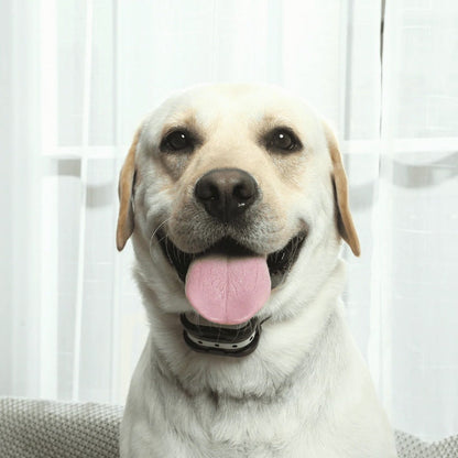 Wireless Dog Training System with Virtual Fence and Training Collar