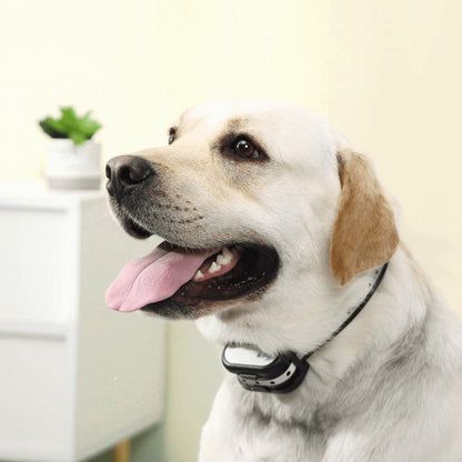 Wireless Dog Training System with Virtual Fence and Training Collar