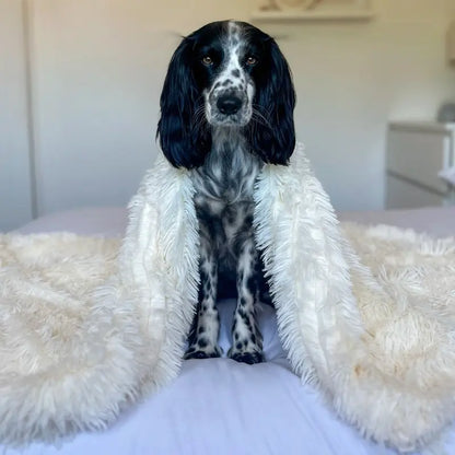 Blanket with Plush Dog Soft Fibres for Comfort and Security for Dogs