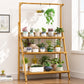 Folding Bamboo Plant Stand with Hanging Rack
