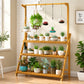 Folding Bamboo Plant Stand with Hanging Rack