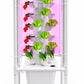 Indoor hydroponic tower with LED lights and floor-standing design