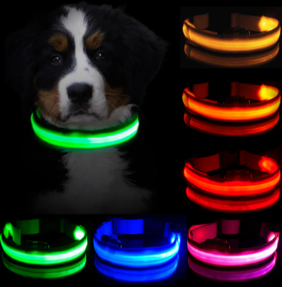Dogsafe Pro for LED Collar for Dogs Feel Safe and Stylish While Walking
