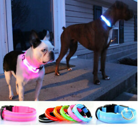 Dogsafe Pro for LED Collar for Dogs Feel Safe and Stylish While Walking